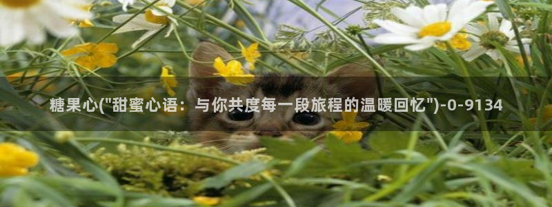 糖心vlog 菠萝啤