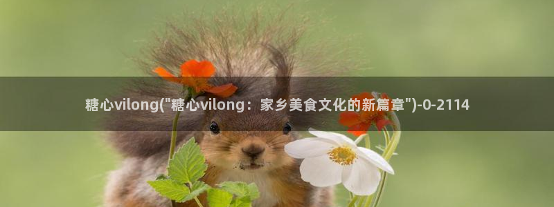 糖心vlog御梦