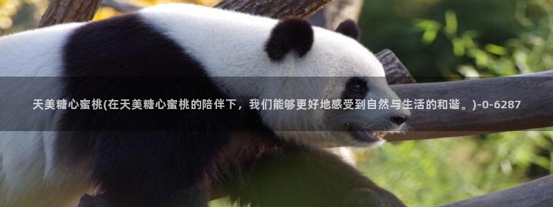 糖心vlog产精国品：天美糖心蜜桃(在天美糖心蜜桃的陪伴下，