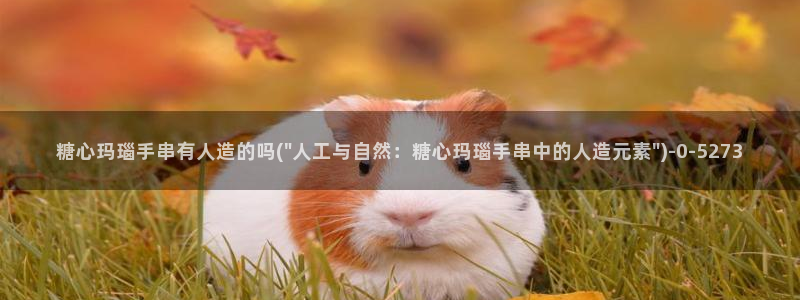 糖心视频vlog