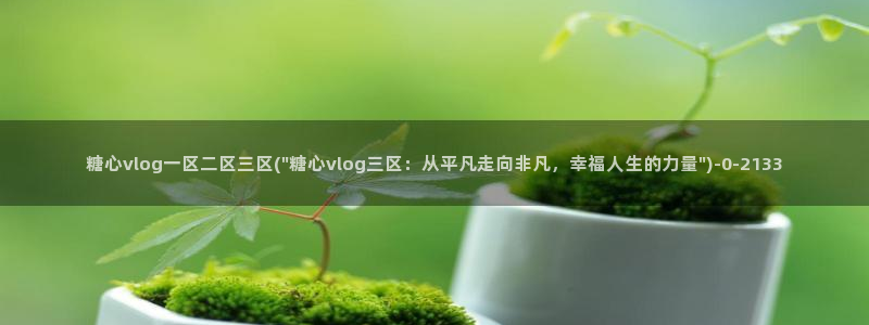 糖心vlog在线观看