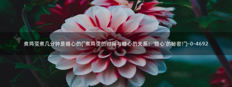 糖心vlog破解版下载链接