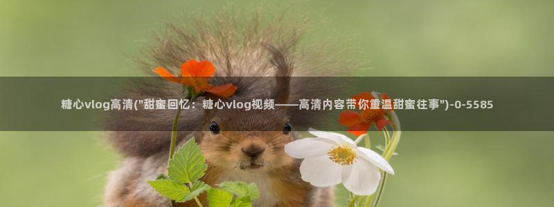 心糖vlog日常