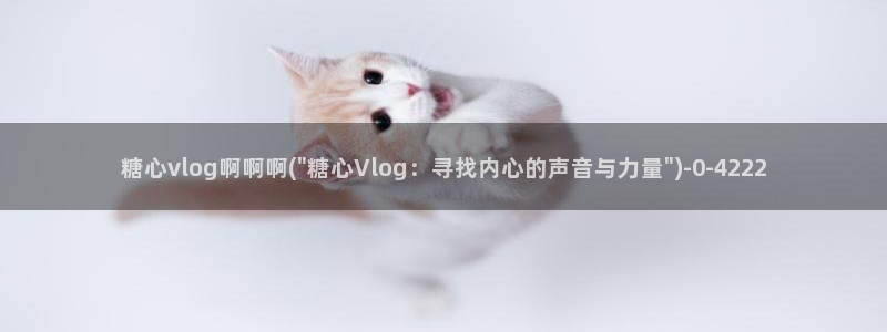 糖心vlog观网观看
