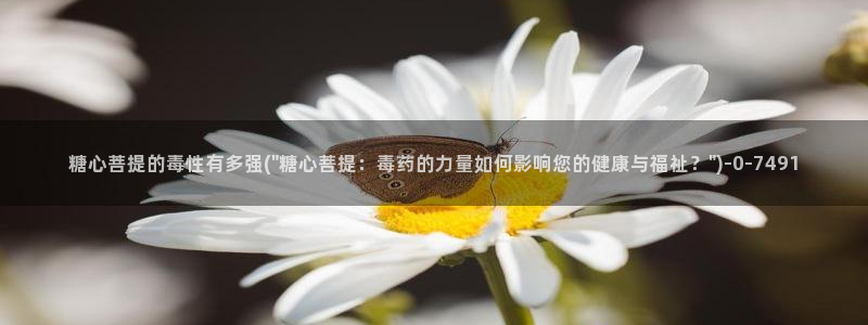 糖心vlog怎么发